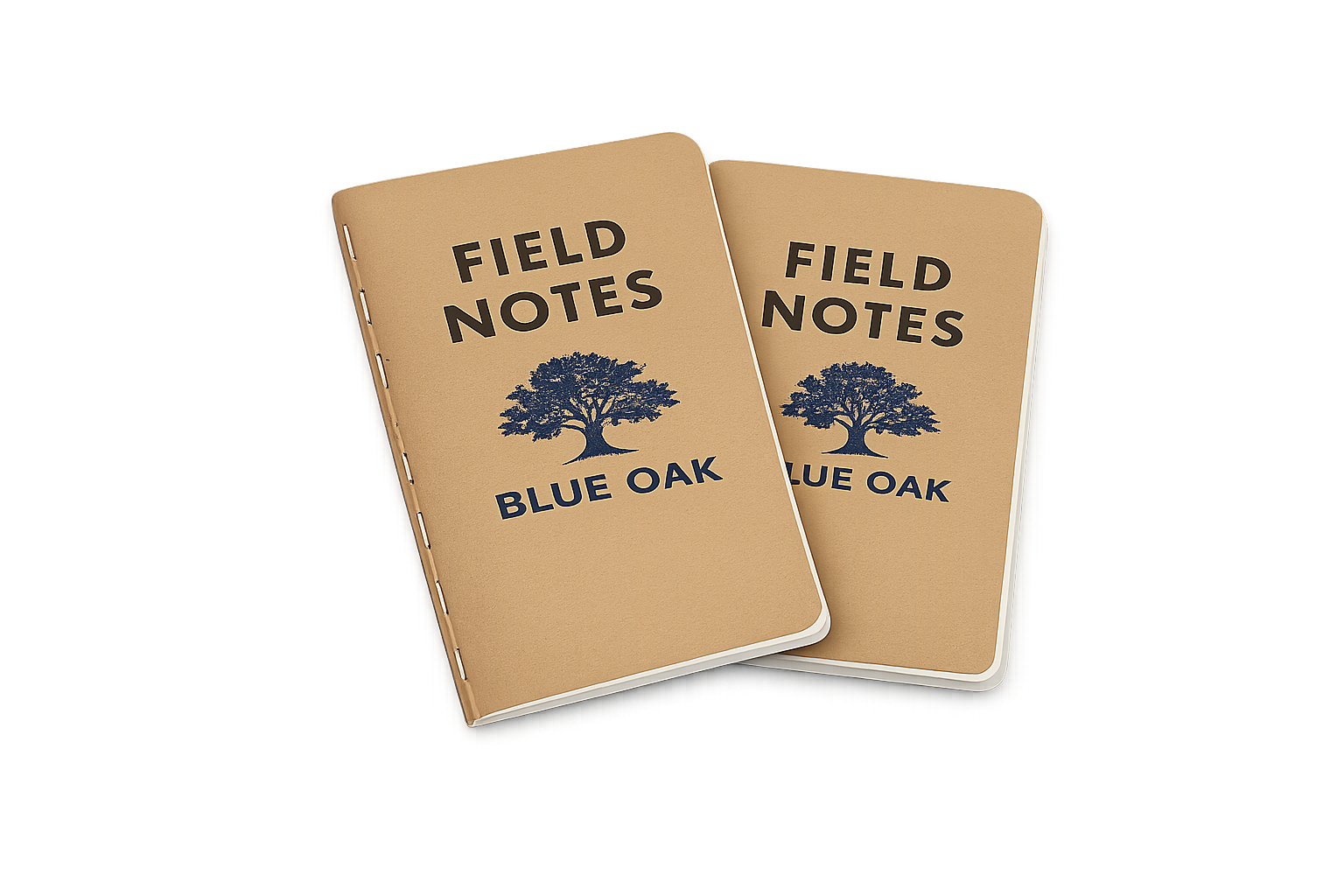 Field Notes